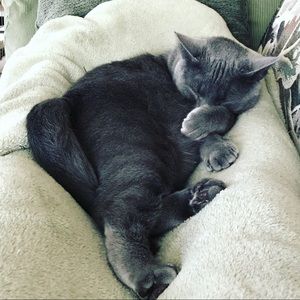 Meet your Posher, Vicki